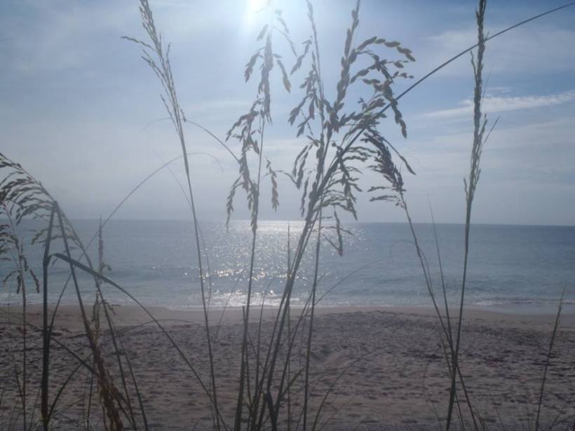 Lynn Johnson Calm Beach