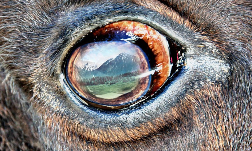 Photo by Amanda Leutenberg