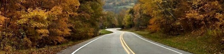 cropped-down-a-fall-road-copy-2.jpg