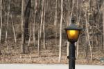 Light Post Against Woods