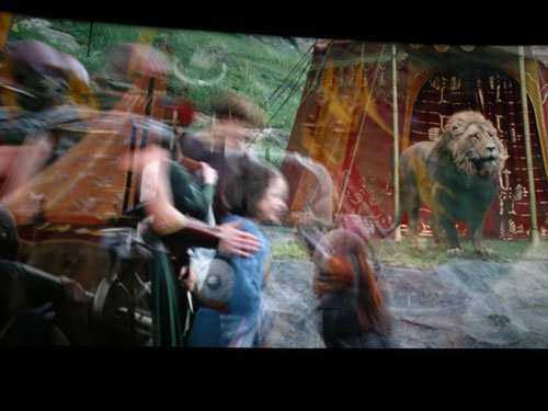 76900149_2ab4dc13e3_o