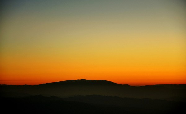 Life Is Elsewhere by Gisela Giardino