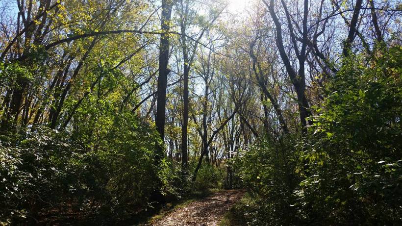 11224320_10207795029052221_6102066277185157717_n