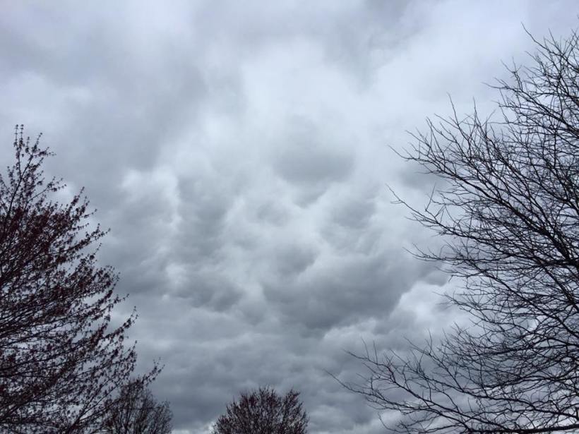 Photo by Beth Drendel