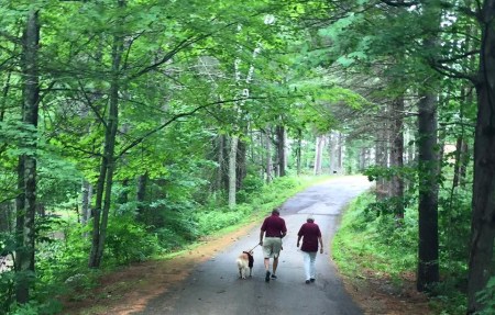 Pat, Don & Mulligan 4 - Copy