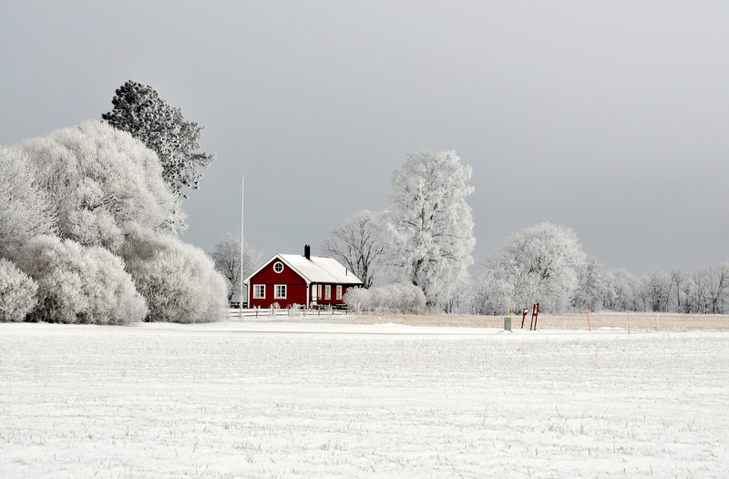  (c) Can Stock Photo / ankihoglund