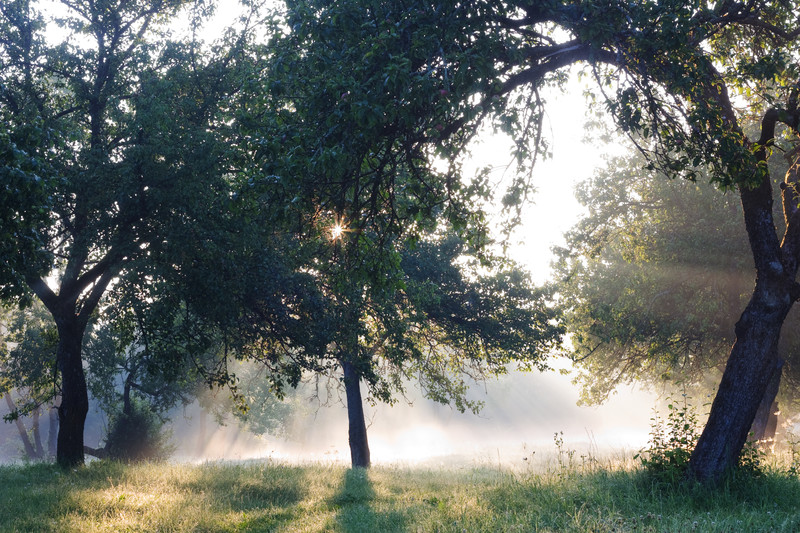  (c) Can Stock Photo / aleksask