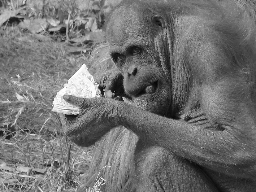 ee4267_c8011d5889fb04380283c539f0fc9923