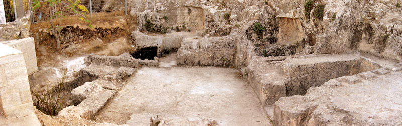 By Tamar Hayardeni, Attribution, https://commons.wikimedia.org/w/index.php?curid=23802552